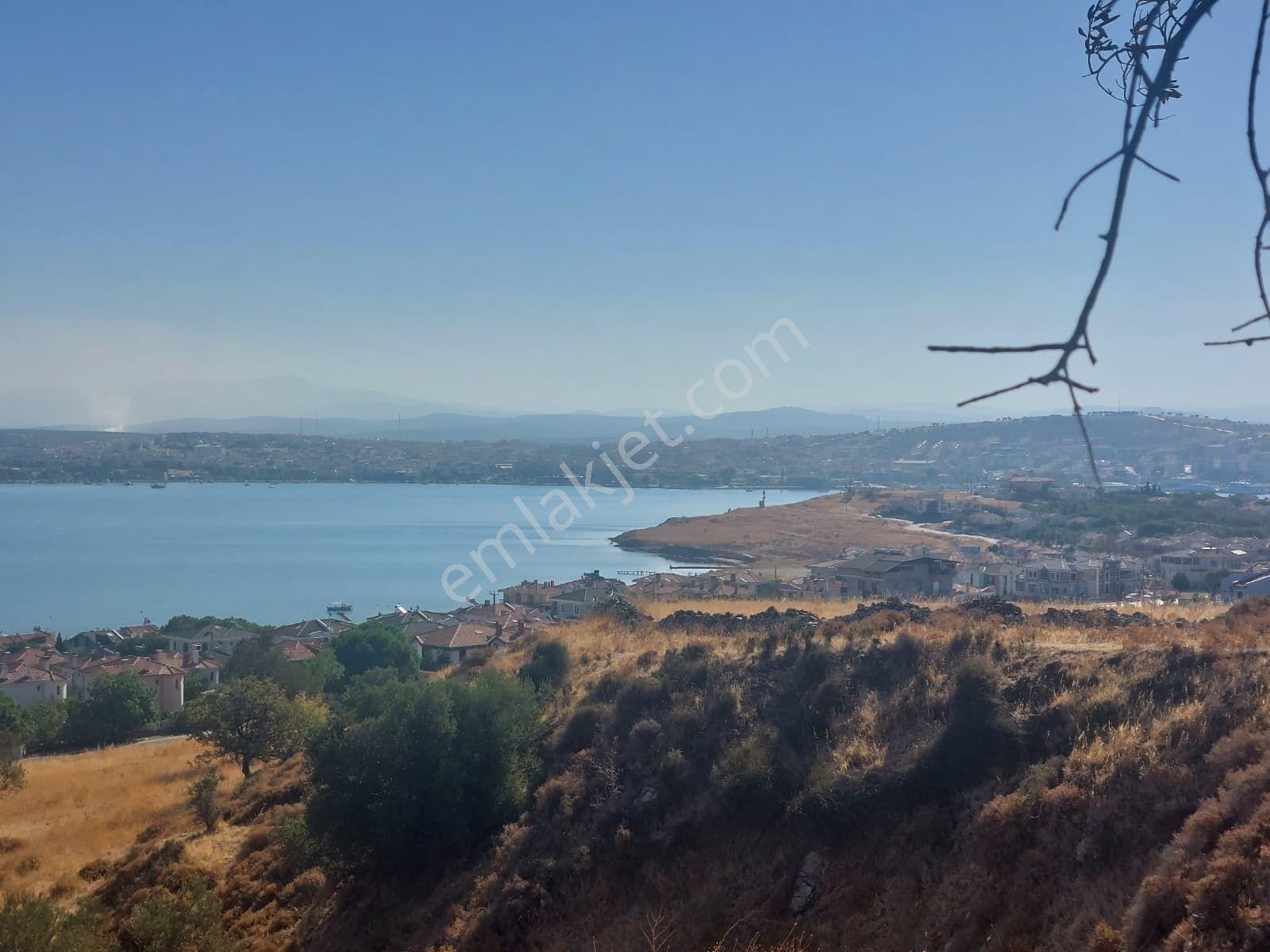 Cunda Adasında Deniz Manzaralı 8.400 M² Zeytinlikyeni Yol Üstü - Görsel 32