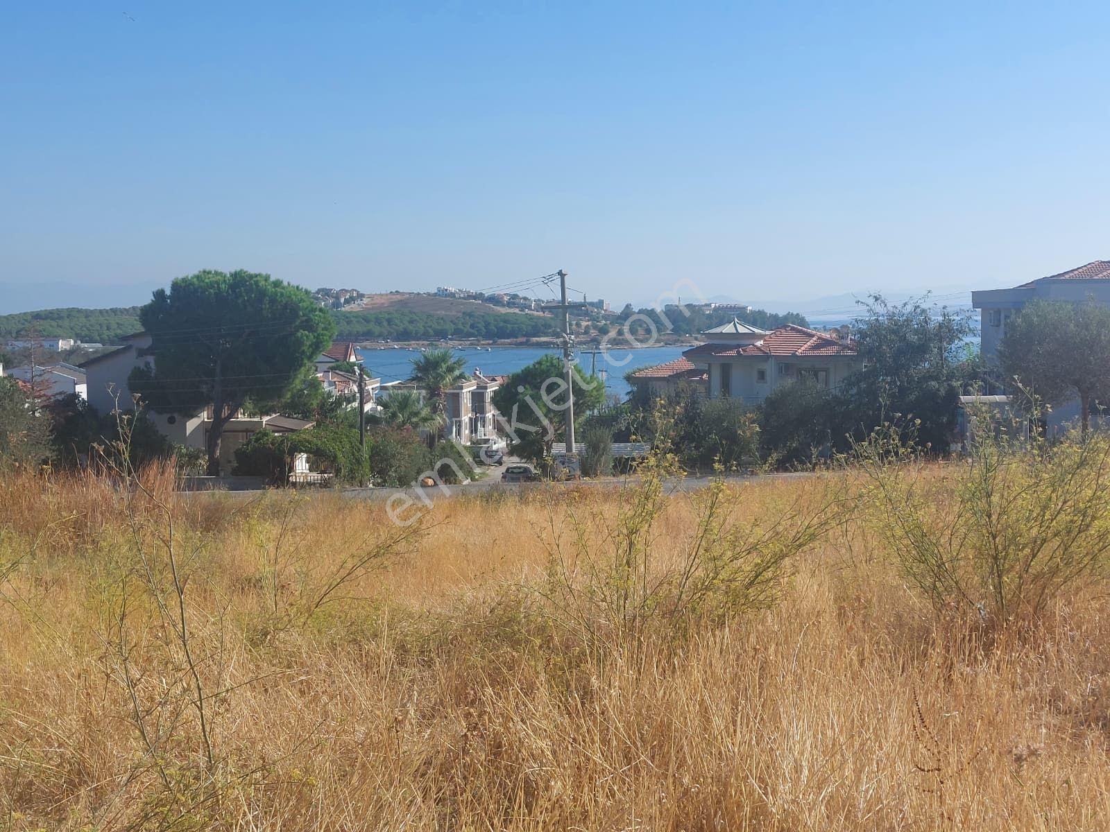 Cunda Adasında Deniz Manzaralı 8.400 M² Zeytinlikyeni Yol Üstü - Görsel 3