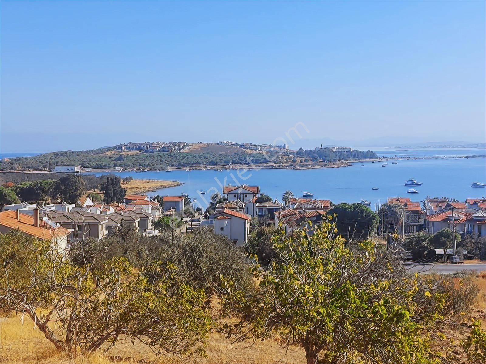 Cunda Adasında Deniz Manzaralı 8.400 M² Zeytinlikyeni Yol Üstü - Görsel 10