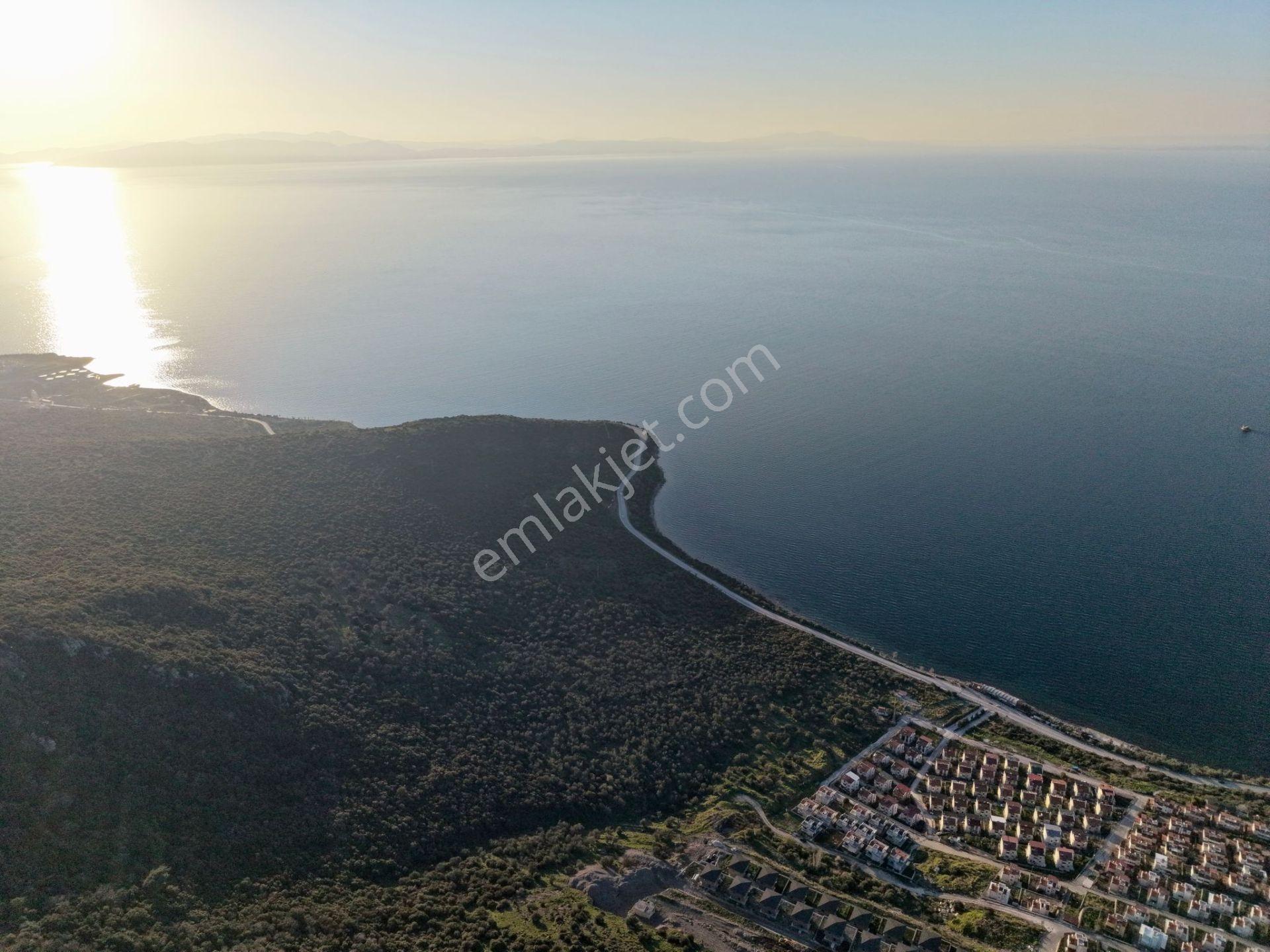 Coldwell Banker Route'dan Satılık Denize Sıfır Emsalsiz Arsa - Görsel 4