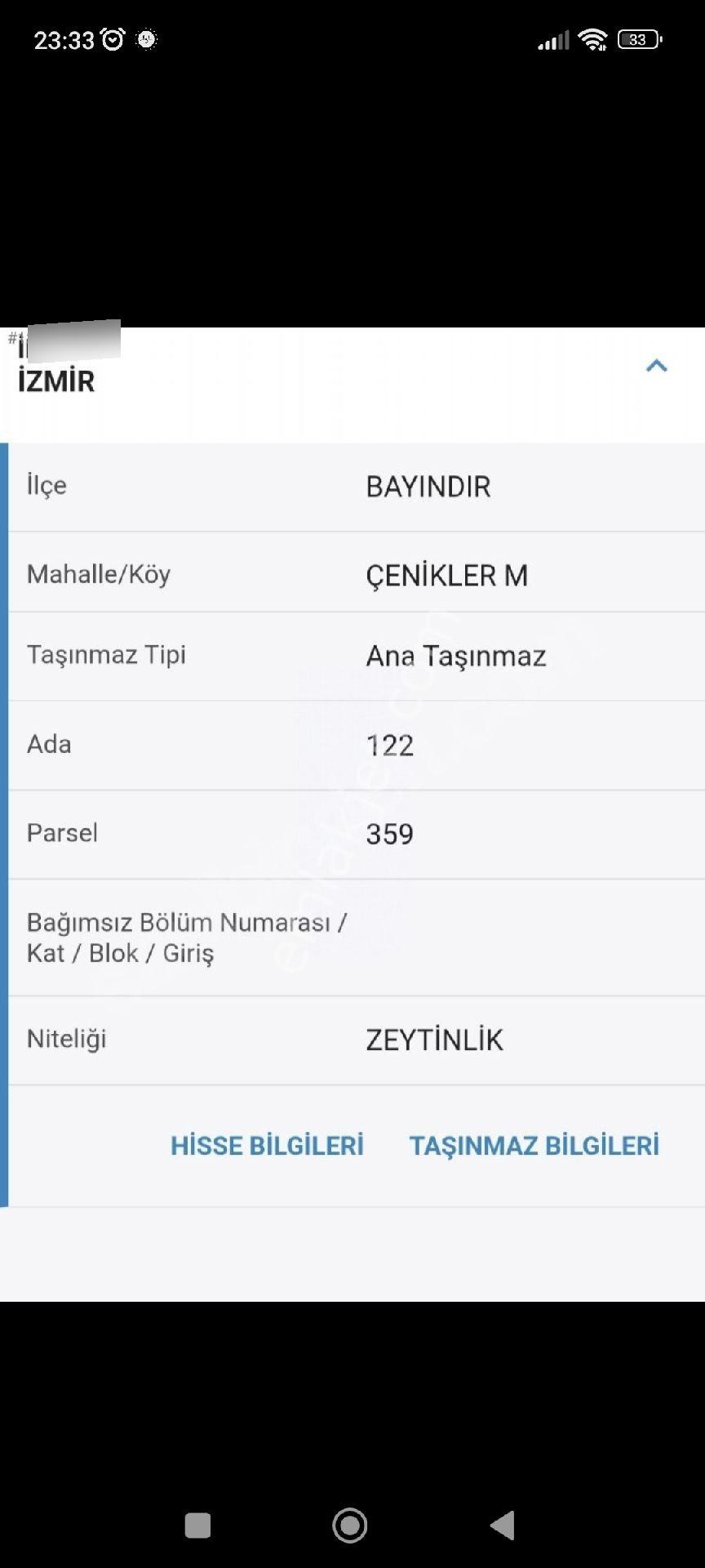 Acil Satılık Zeytin Bahçesi - Görsel 2