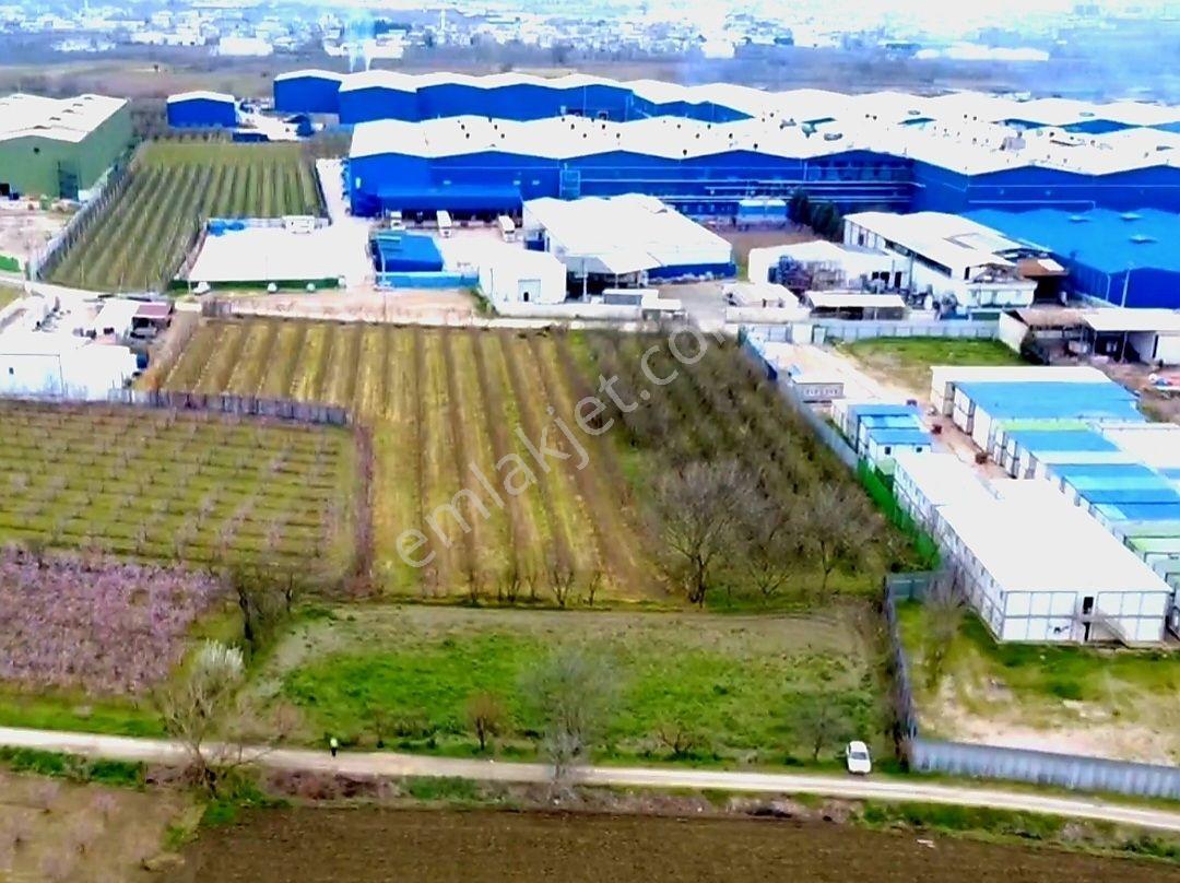 Dialog Leo Dan Gürsu Kumlukalanda Satılık 2175m2 Kıymetli Arazi - Görsel 2