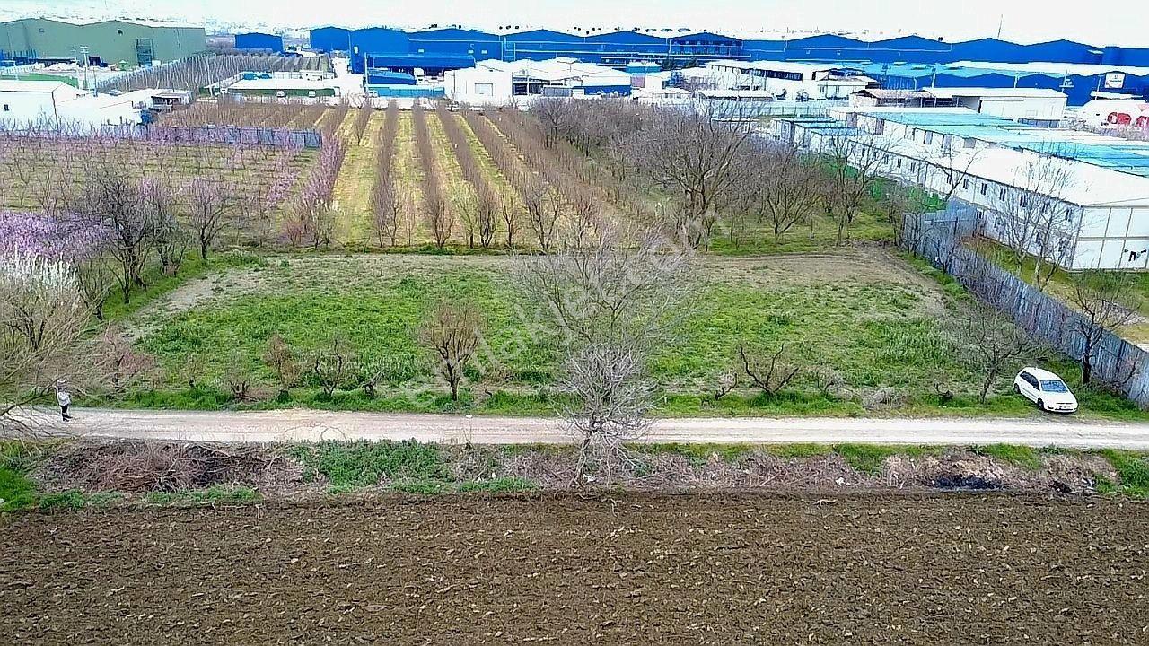 Dialog Leo Dan Gürsu Kumlukalanda Satılık 2175m2 Kıymetli Arazi - Görsel 13