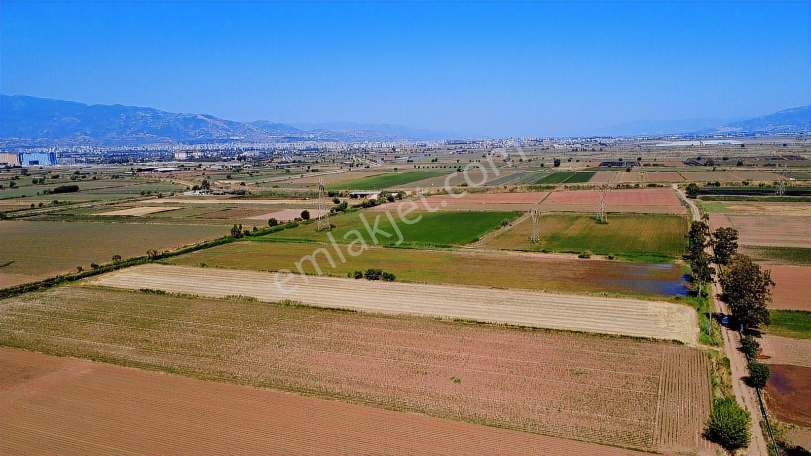 Procity 'den Şevketiye Mah. Satılık 21.918 M2 Tarla - Görsel 4