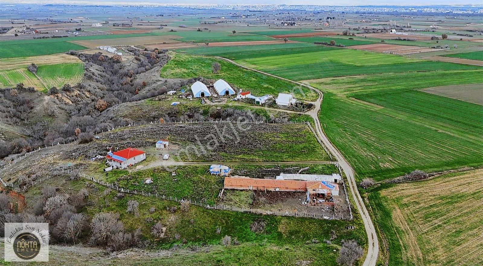 Nokta Emlak'dan Satılık Kurulu Hazır 11.500 M2 Çiftlik Yeri!! - Görsel 8