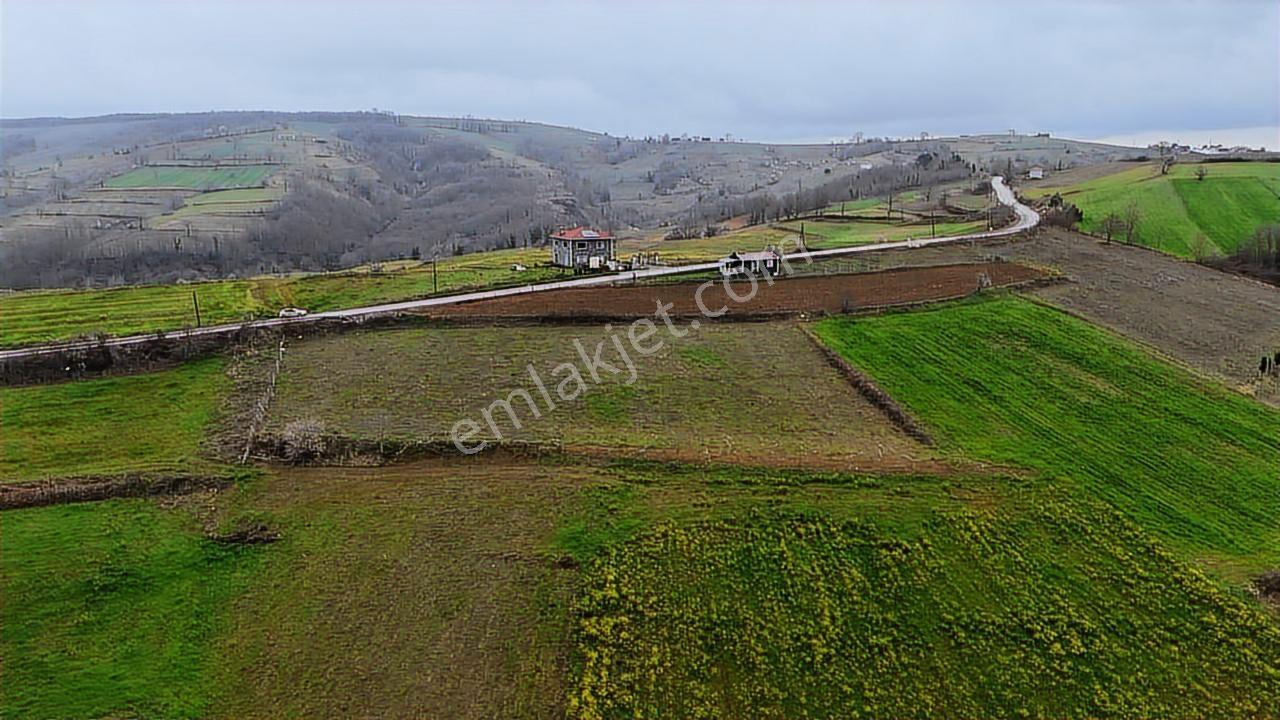 Tarcanlar'dan Kandıra Elmacık'ta Anayola Bir Parsel 2321m2 Tarla - Görsel 31