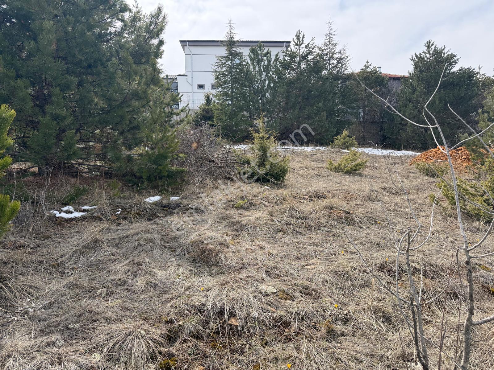Bahçeşehir'de Satılık 397 M² Villa Arsası - Fırsatı Kaçırmayın! - Görsel 10