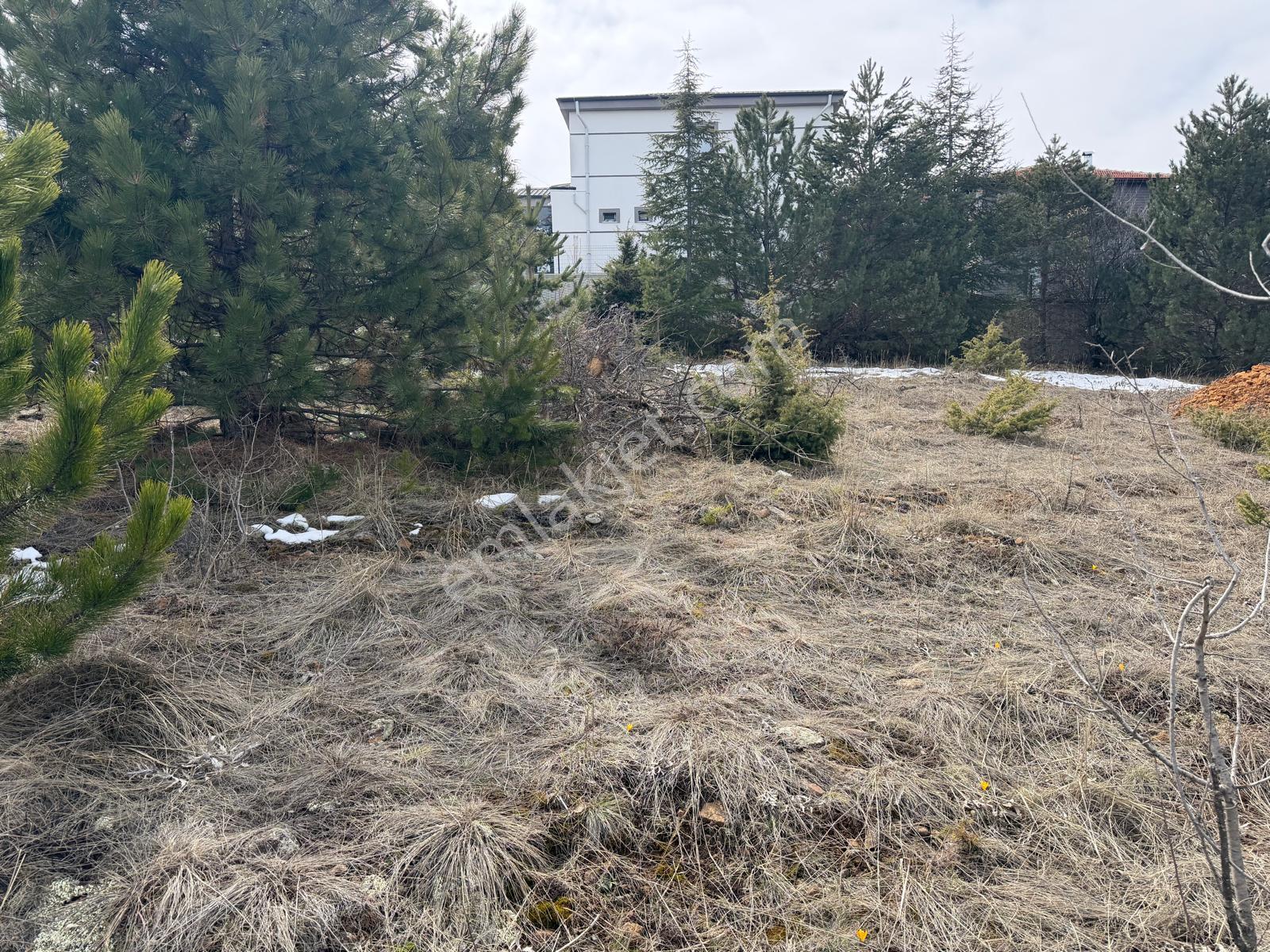 Bahçeşehir'de Satılık 397 M² Villa Arsası - Fırsatı Kaçırmayın! - Görsel 9