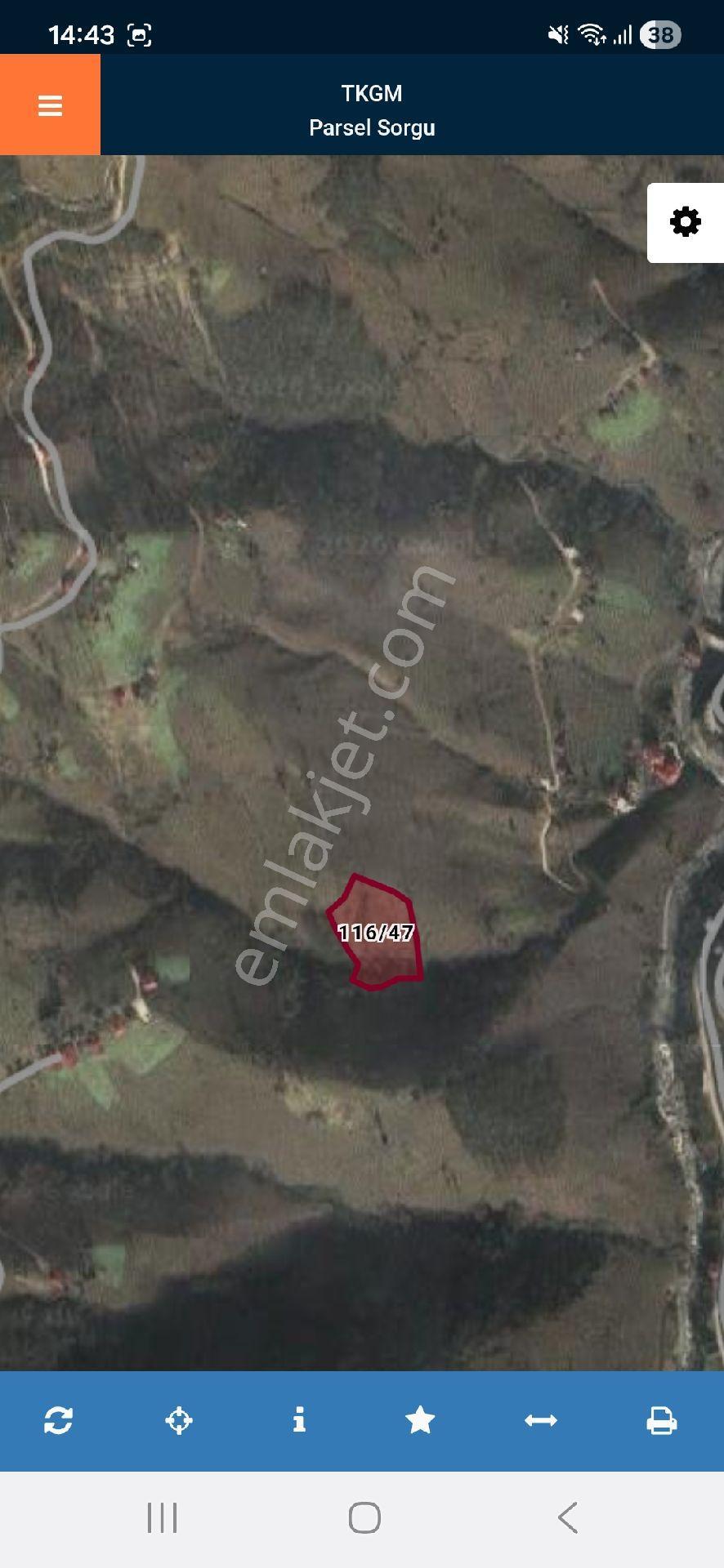 Giresun Espiye Seydiköy 5475 M2 Tamamı Fındık Bahçesi Köy Manzaralı - Görsel 12