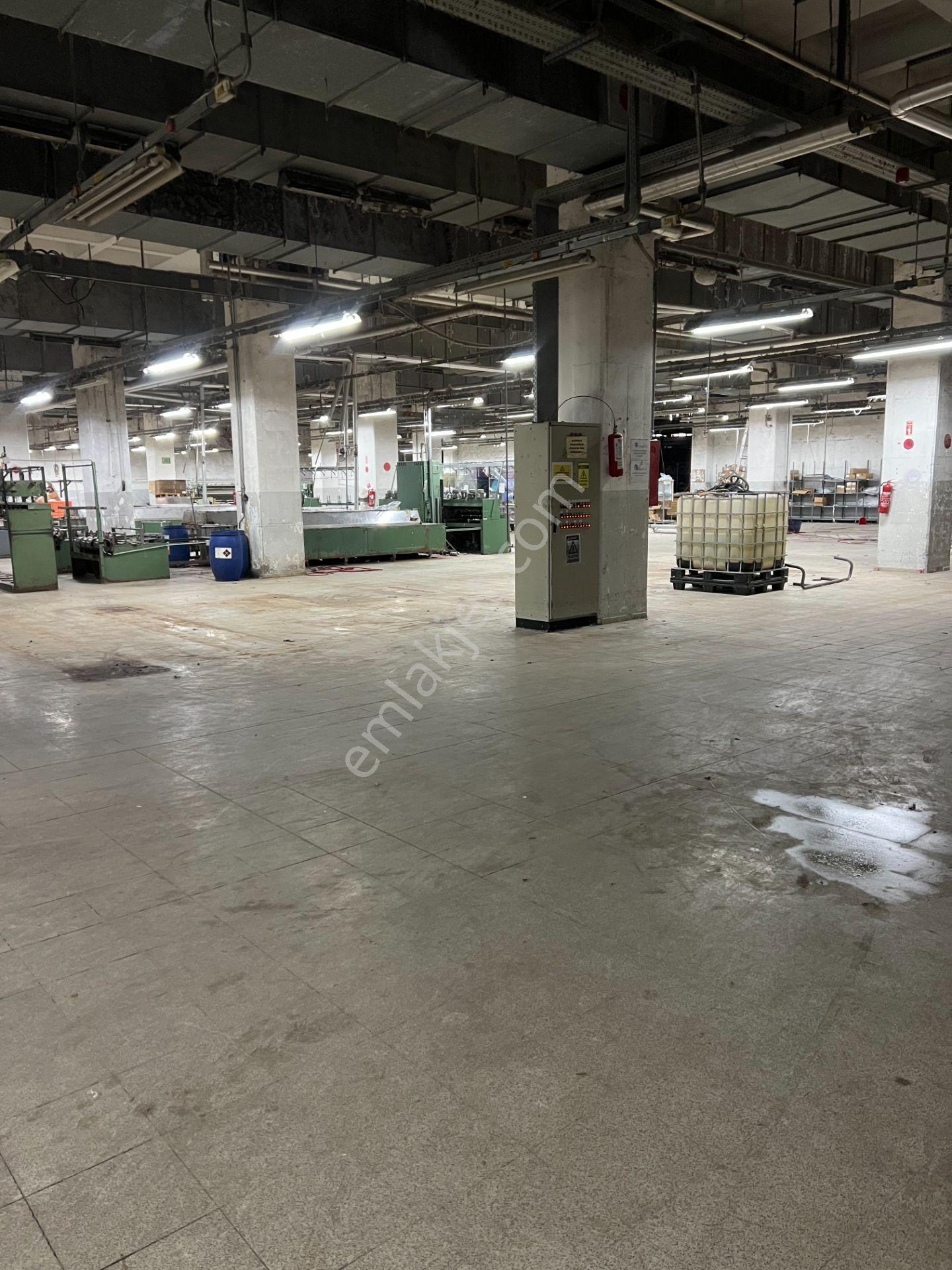 Başakşehir İkitelli Osb De 5.500m2 Kiralık Depo İmalathane - Görsel 11