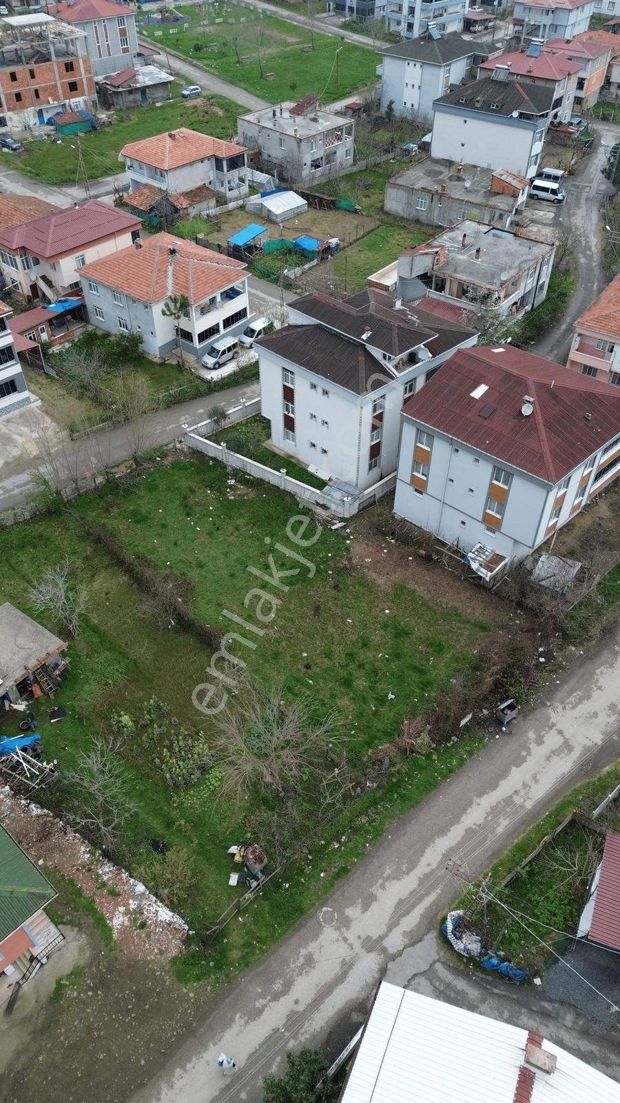 Çarşamba Umut Mahallesinde İmarlı 585 M² Arsa - Görsel 3