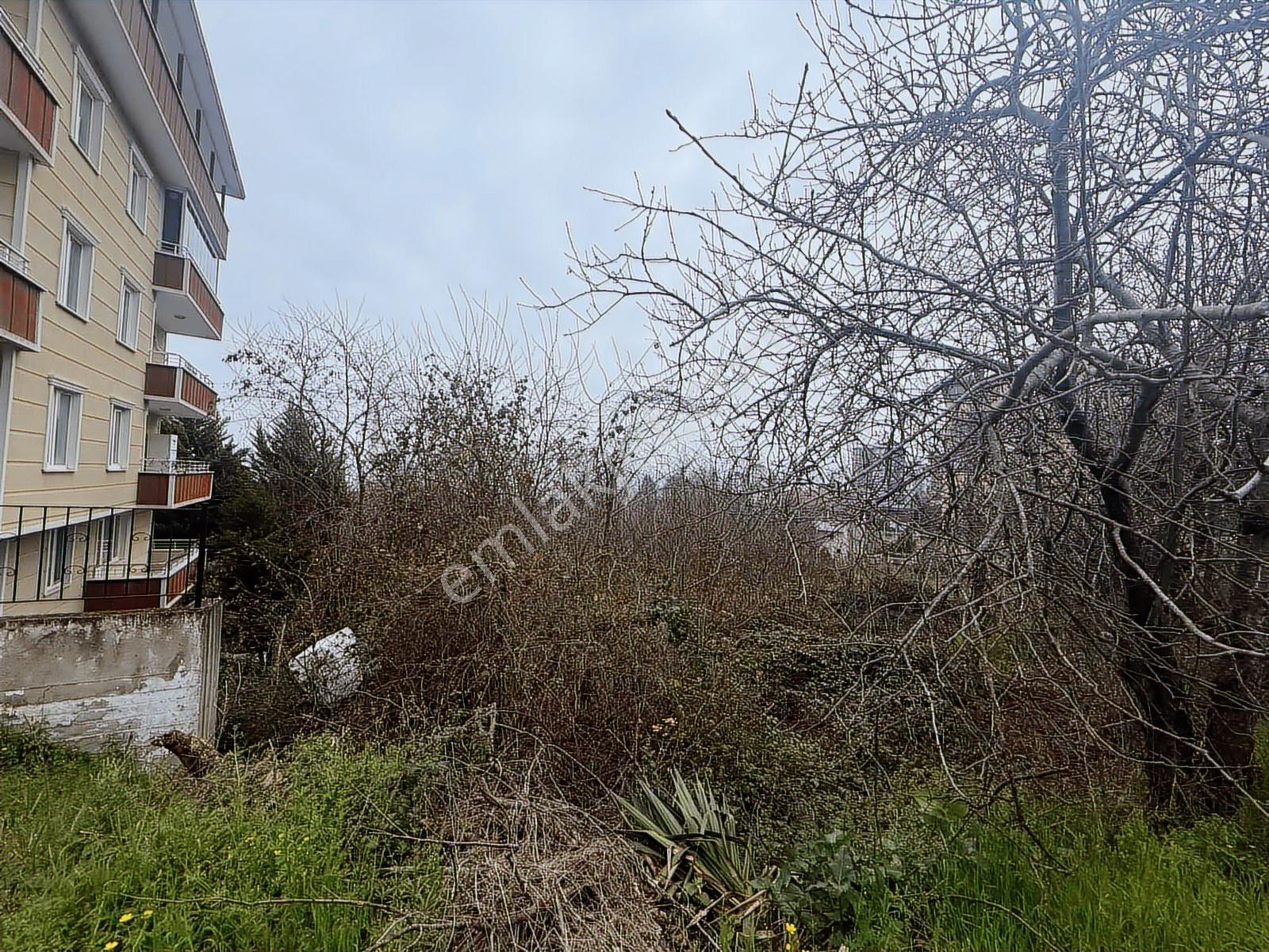 Reksa'dan Dolunayda Safir Otel Arkasında Satılık Arsa - Görsel 18