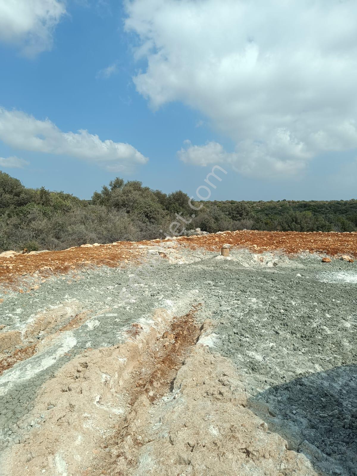 Narlıkuyu Üstünde- Satılık Tarla - Su Kaynaklı, Deniz Manzaralı - Görsel 20