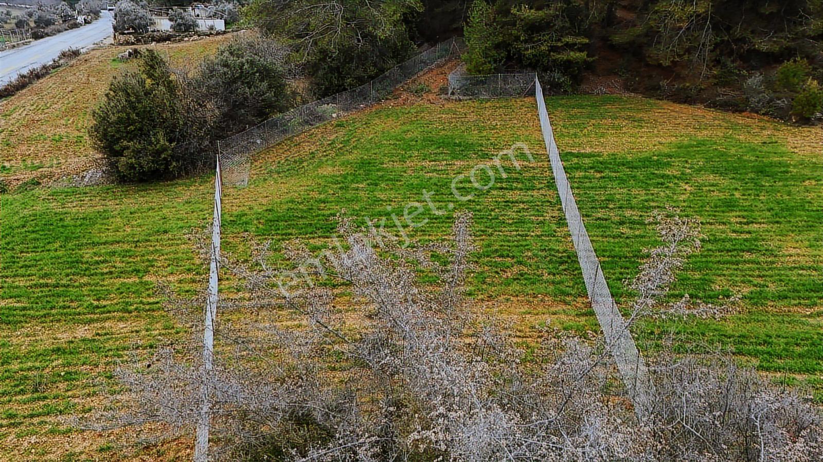 Muğla Menteşe Algıda Satılık Tarla - Görsel 2