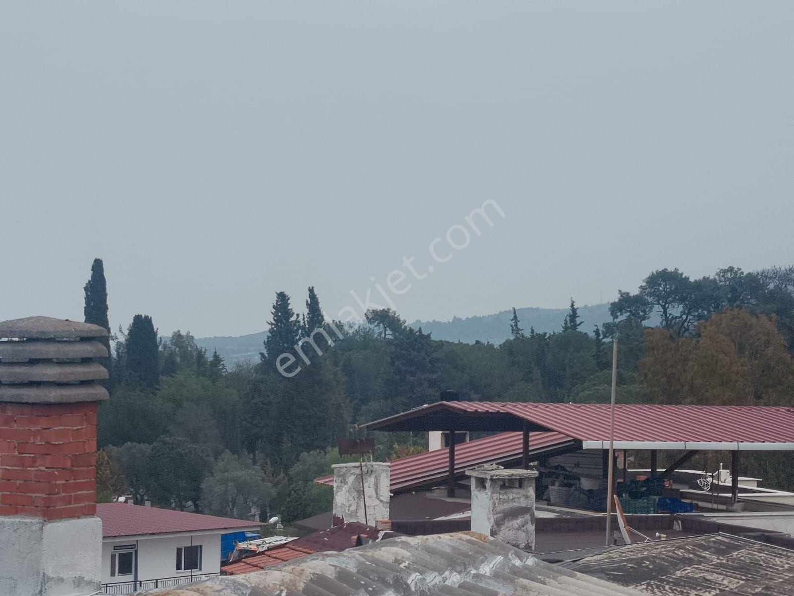 Güzelbahçede Acil Satılık Villa - Görsel 12