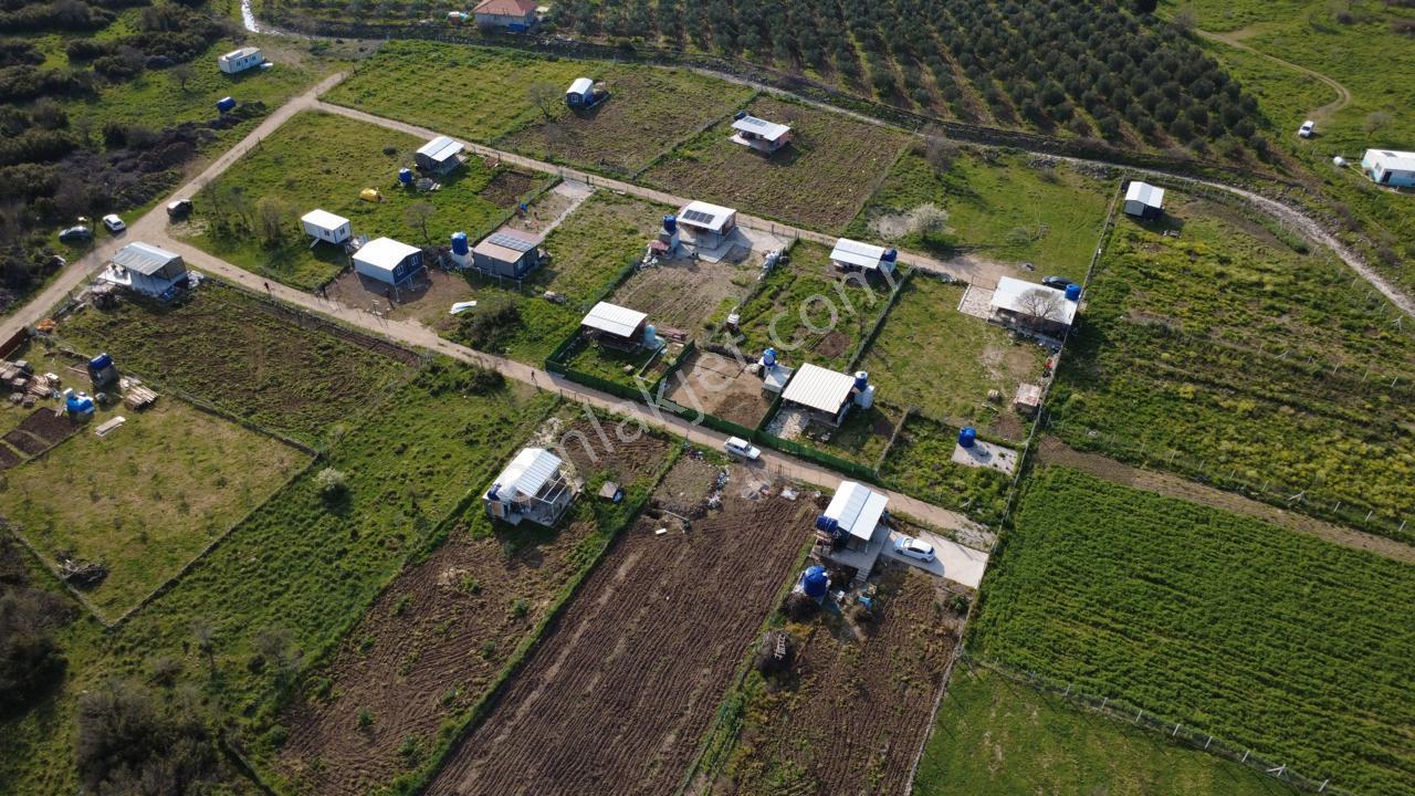 Çıtakta 213m2 İçerisinde Konteyner Bulunan Tarla - Görsel 20