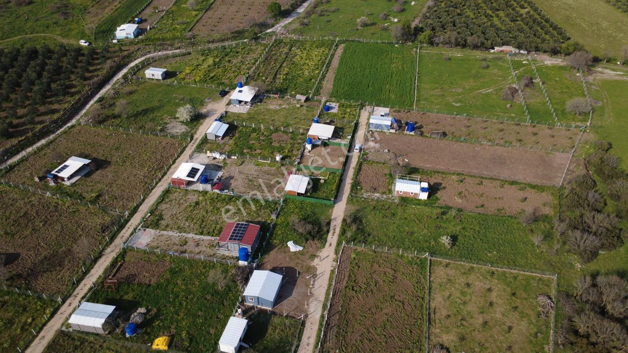 Çıtakta 213m2 İçerisinde Konteyner Bulunan Tarla - Görsel 16