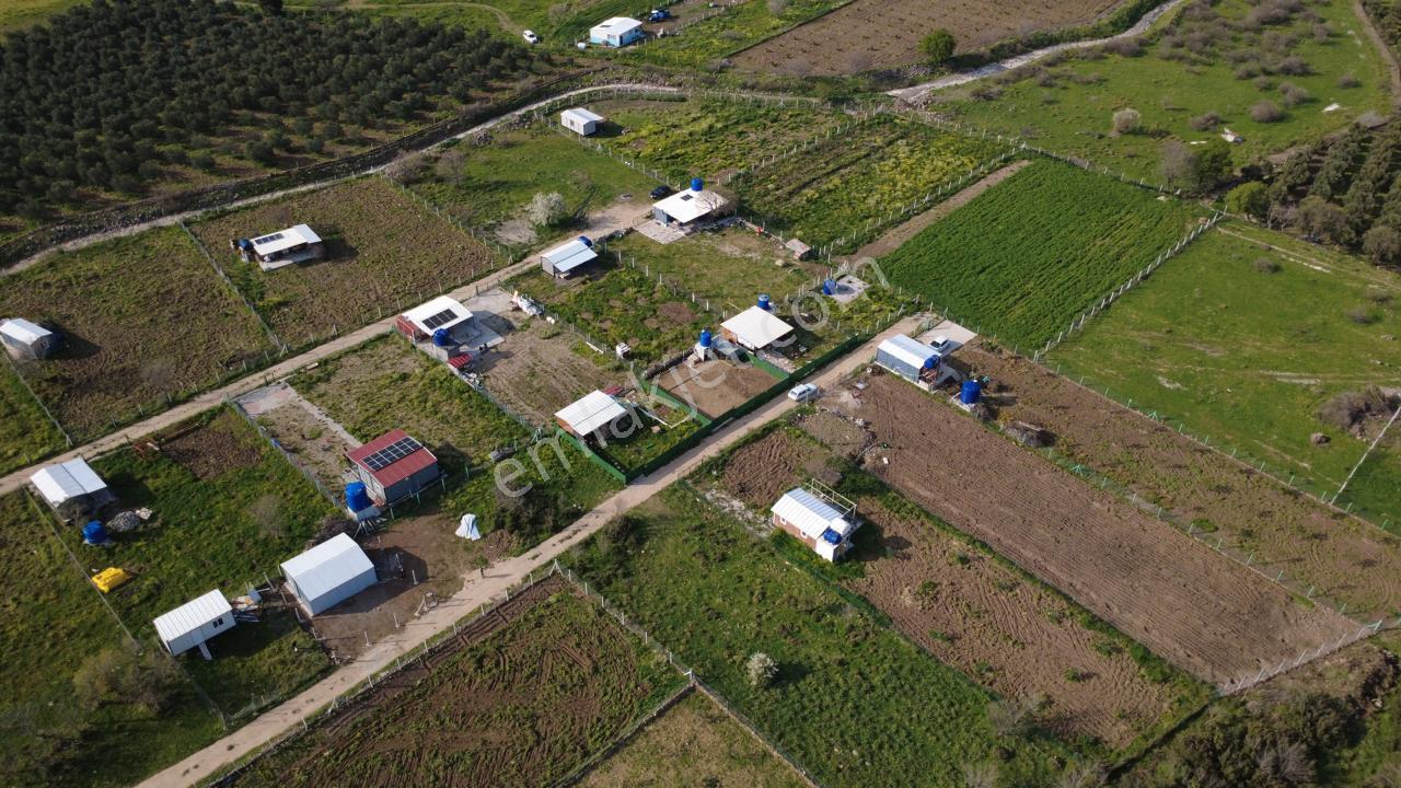 Çıtakta 213m2 İçerisinde Konteyner Bulunan Tarla - Görsel 17