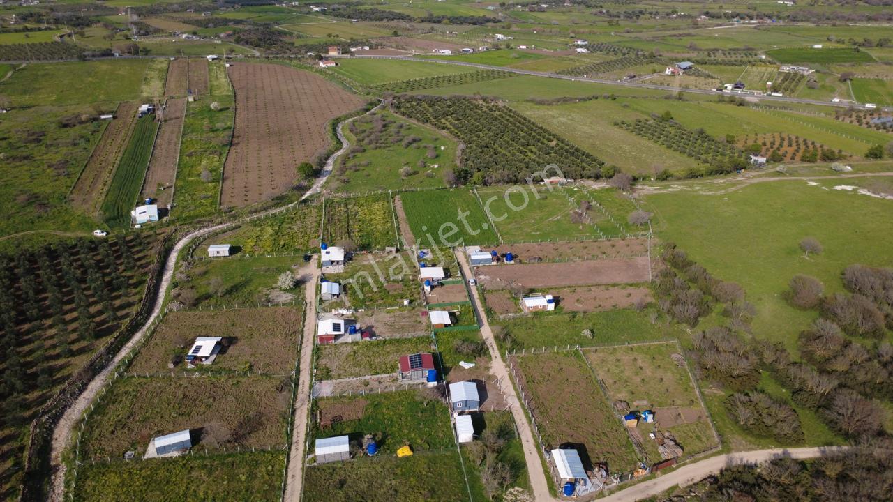 Çıtakta 213m2 İçerisinde Konteyner Bulunan Tarla - Görsel 29