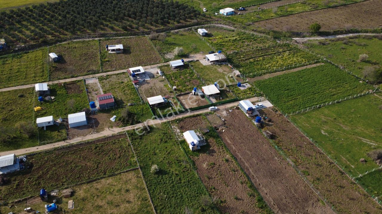 Çıtakta 213m2 İçerisinde Konteyner Bulunan Tarla - Görsel 19