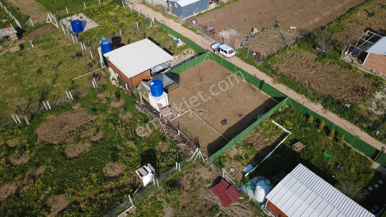 Çıtakta 213m2 İçerisinde Konteyner Bulunan Tarla - Görsel 13