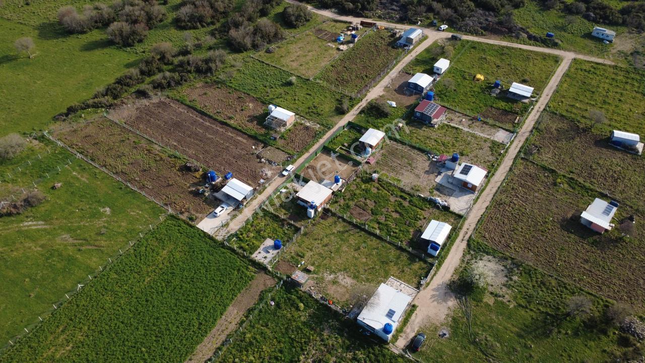 Çıtakta 213m2 İçerisinde Konteyner Bulunan Tarla - Görsel 24