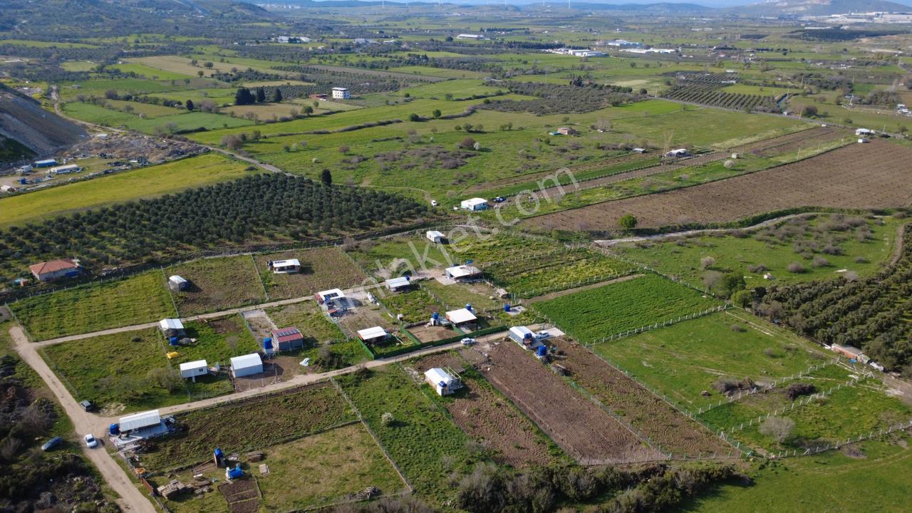 Çıtakta 213m2 İçerisinde Konteyner Bulunan Tarla - Görsel 33