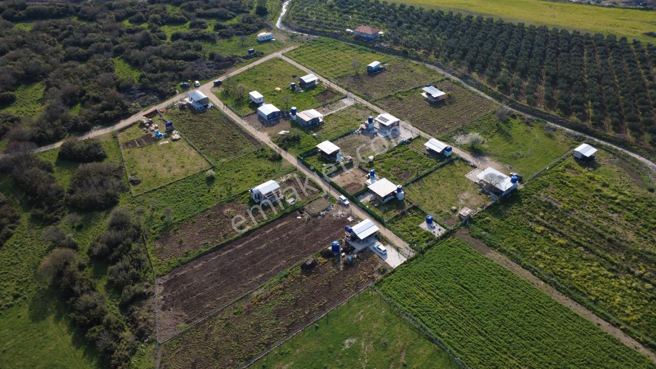 Çıtakta 213m2 İçerisinde Konteyner Bulunan Tarla - Görsel 21