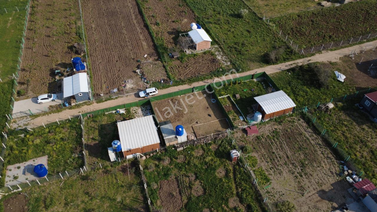 Çıtakta 213m2 İçerisinde Konteyner Bulunan Tarla - Görsel 7