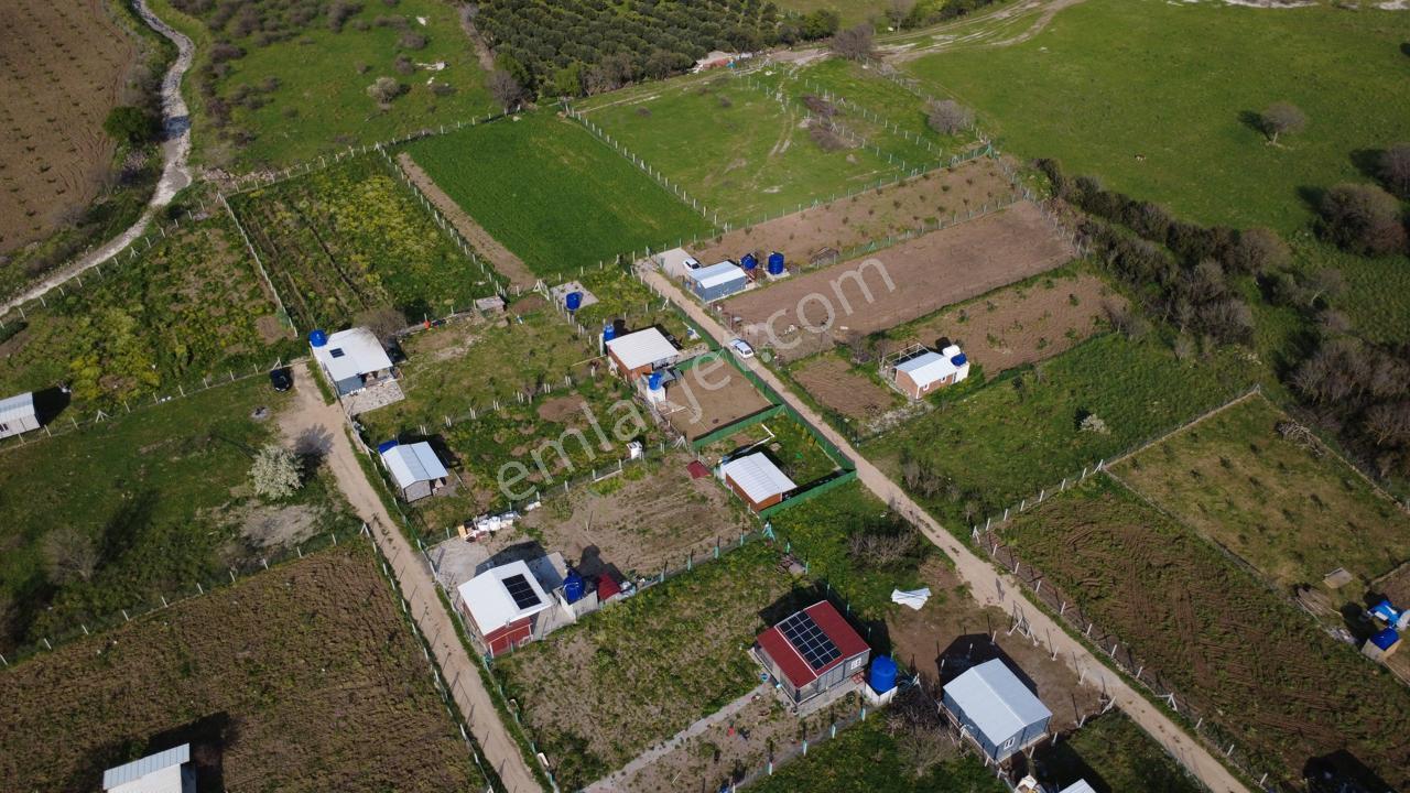 Çıtakta 213m2 İçerisinde Konteyner Bulunan Tarla - Görsel 15