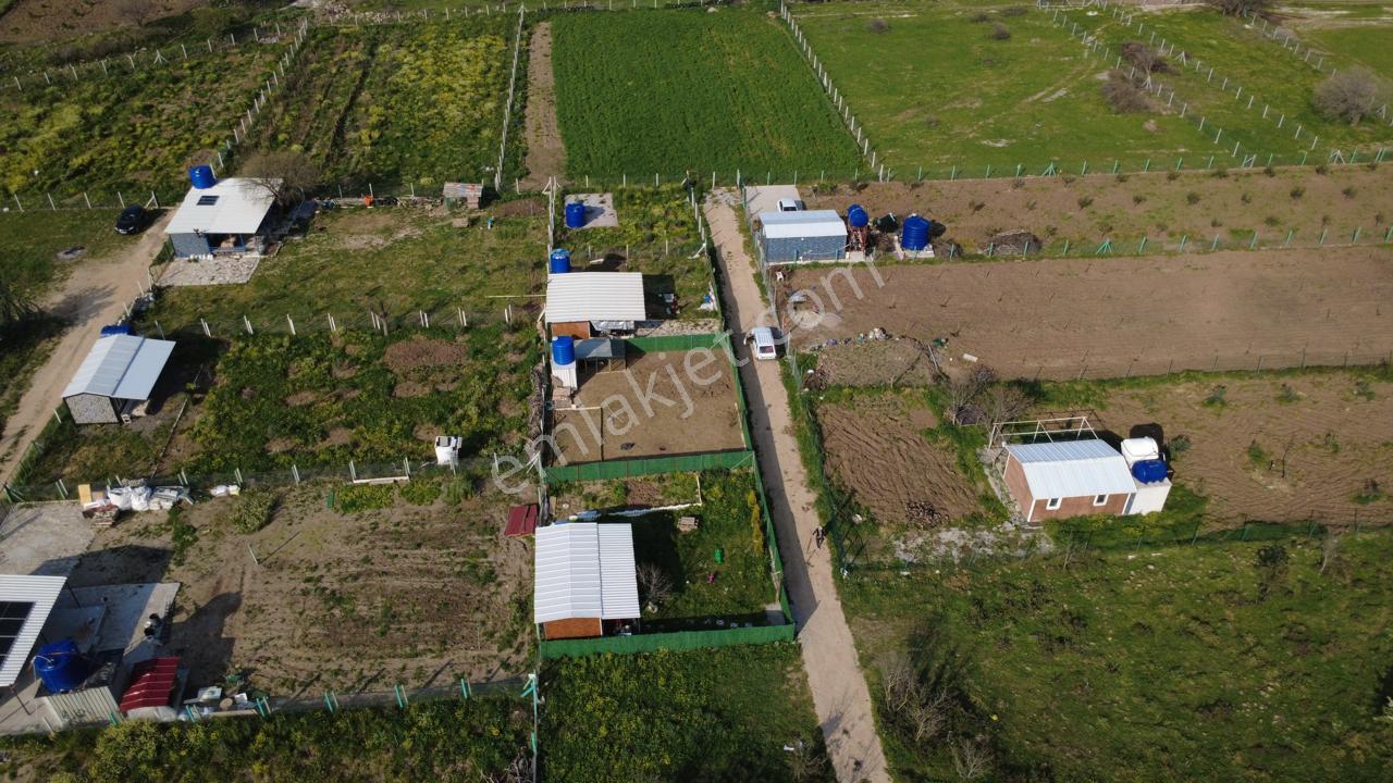 Çıtakta 213m2 İçerisinde Konteyner Bulunan Tarla - Görsel 10
