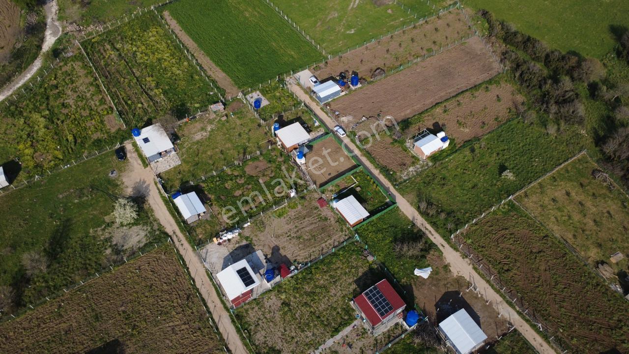 Çıtakta 213m2 İçerisinde Konteyner Bulunan Tarla - Görsel 28