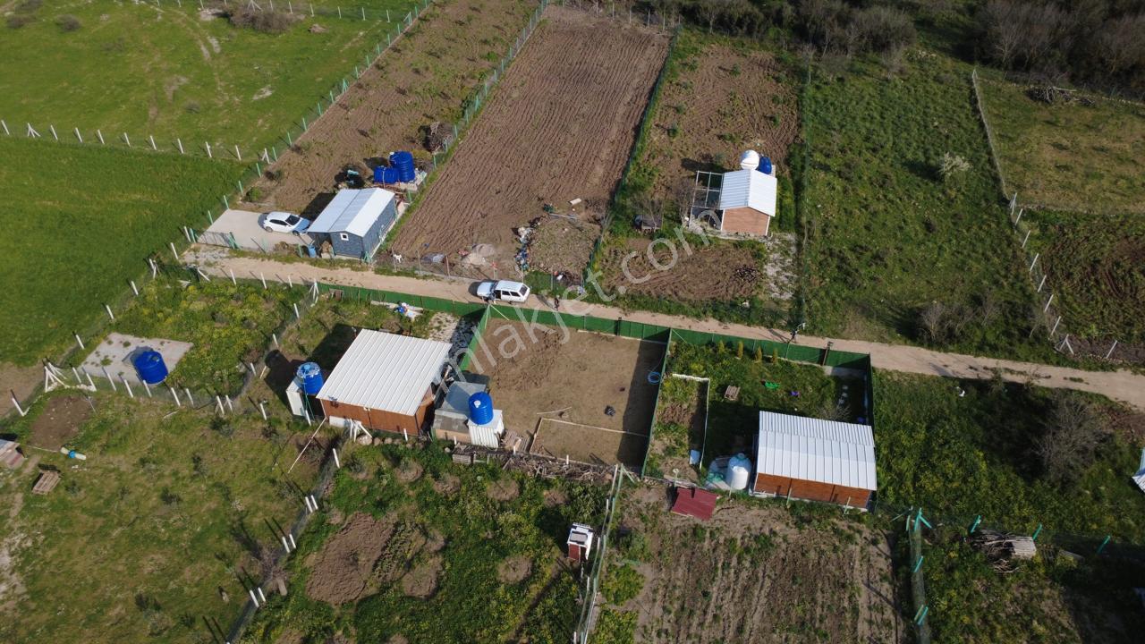Çıtakta 213m2 İçerisinde Konteyner Bulunan Tarla - Görsel 6