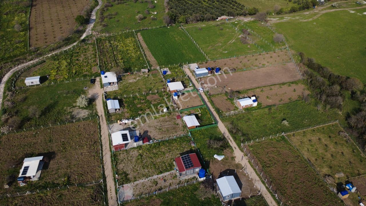 Çıtakta 213m2 İçerisinde Konteyner Bulunan Tarla - Görsel 14