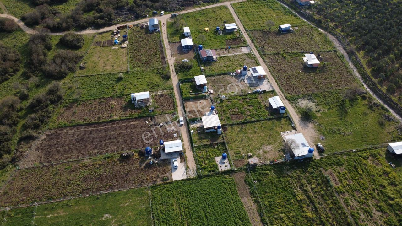 Çıtakta 213m2 İçerisinde Konteyner Bulunan Tarla - Görsel 22