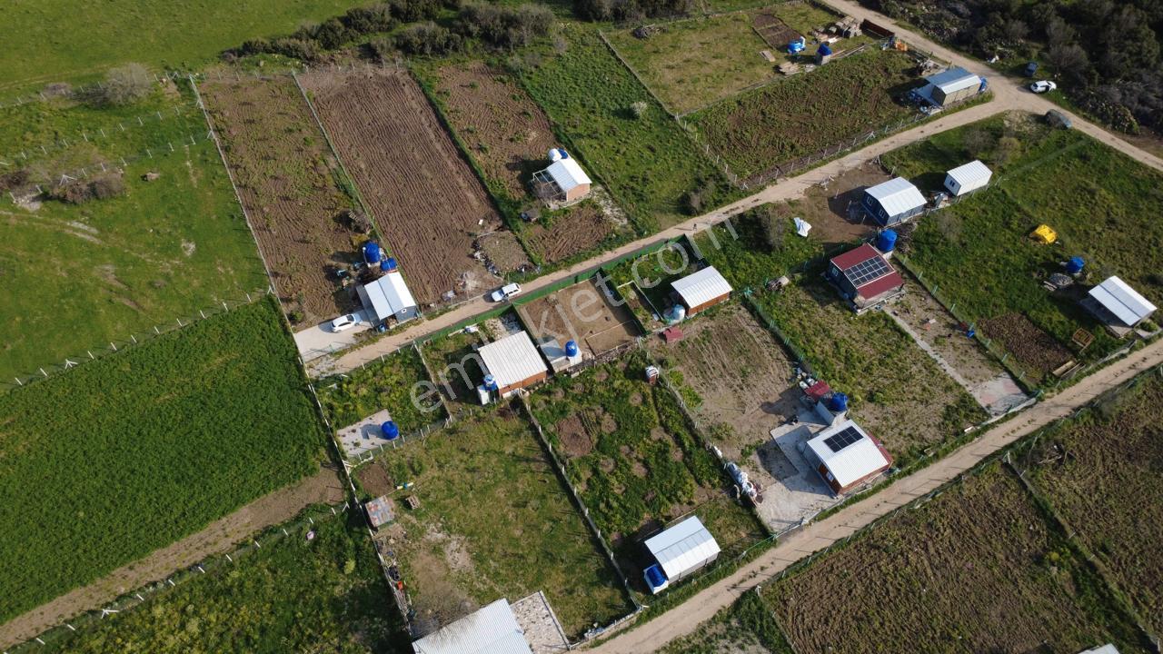 Çıtakta 213m2 İçerisinde Konteyner Bulunan Tarla - Görsel 23