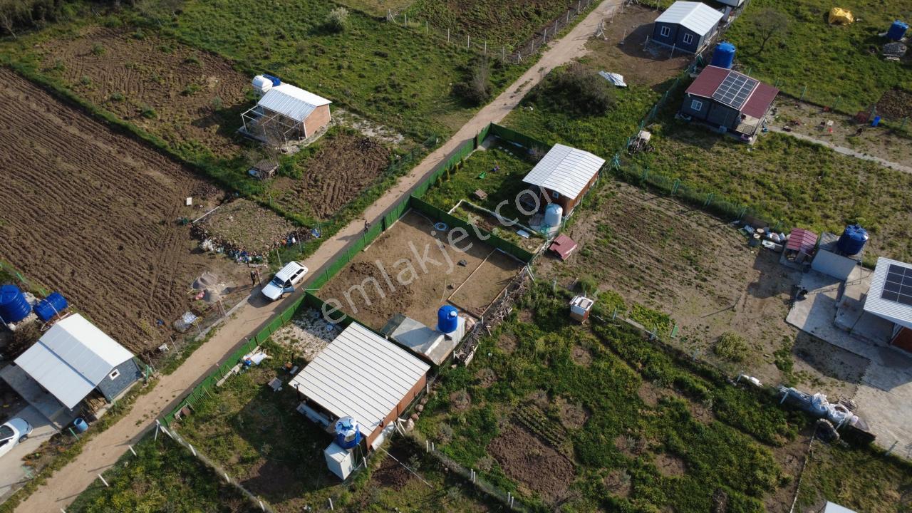 Çıtakta 213m2 İçerisinde Konteyner Bulunan Tarla - Görsel 5