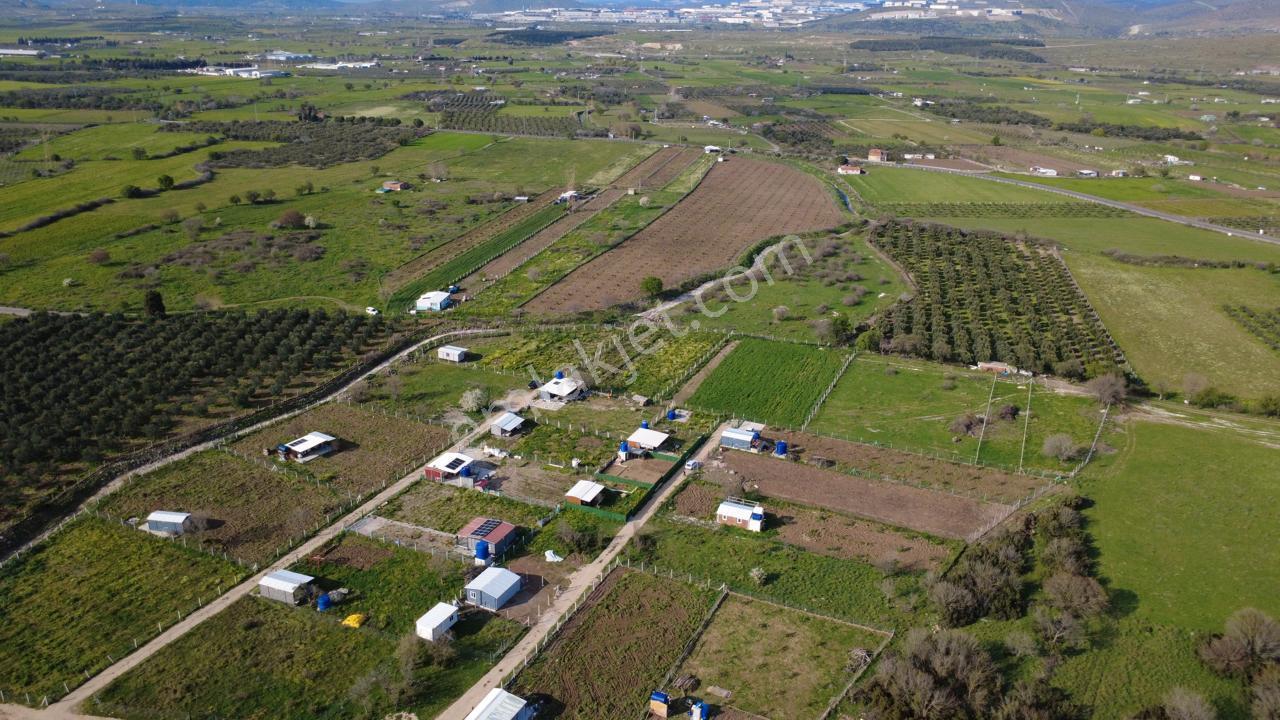 Çıtakta 213m2 İçerisinde Konteyner Bulunan Tarla - Görsel 30