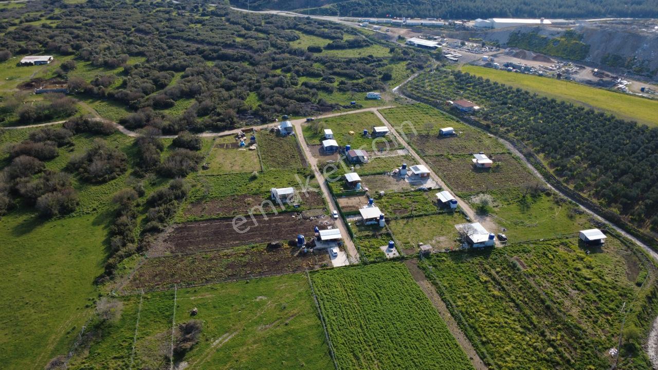 Çıtakta 213m2 İçerisinde Konteyner Bulunan Tarla - Görsel 35
