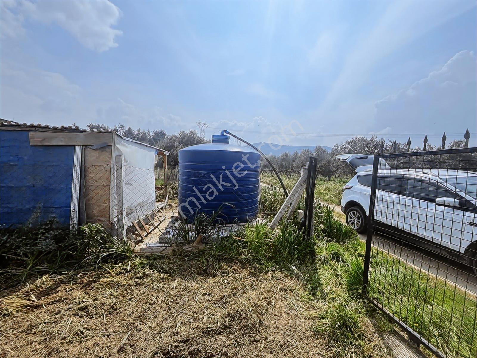 Torbalı Dirmil Mah 357m2 Yatırımlık Bahçe Niteliğinde Tarla - Görsel 35