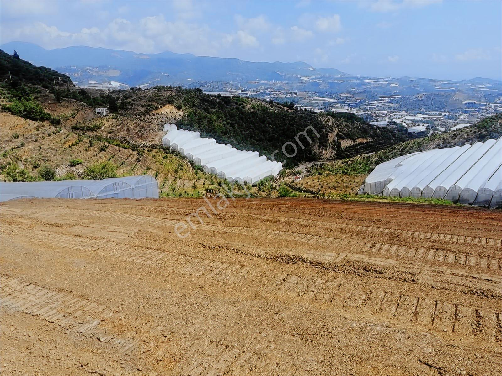 Antalya Alanya Toslak 9326 M2 Satılık Tarım Arazisi - Görsel 2