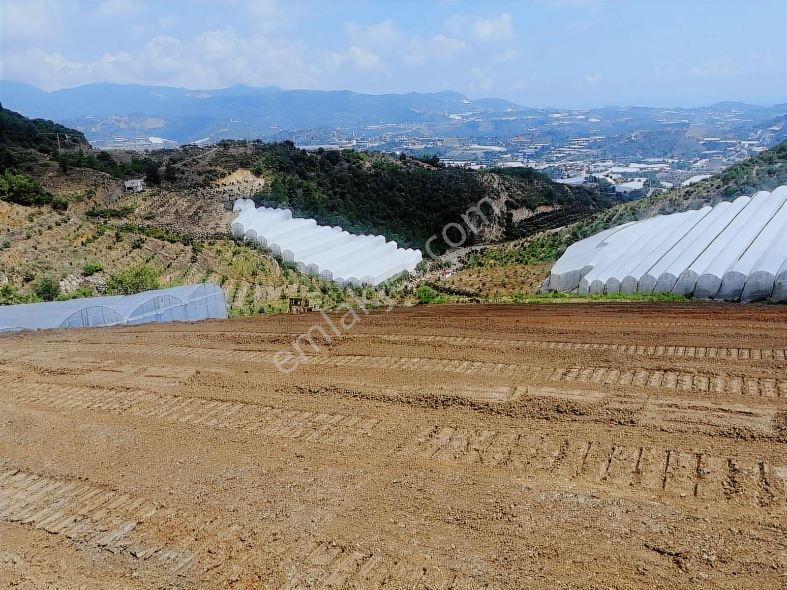 Antalya Alanya Toslak 9326 M2 Satılık Tarım Arazisi - Görsel 3
