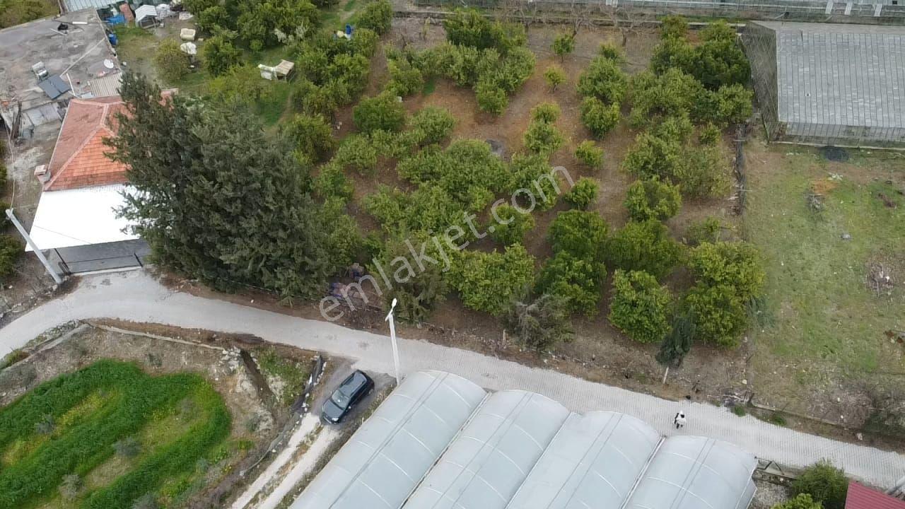 Seydikemer Kadıköy De Yükek Prim Potansiyelli 25-75 İmarlı Arsa - Görsel 7