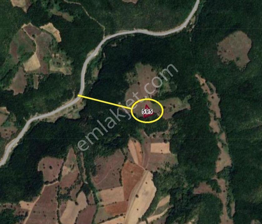 Merkez Kavaklı Köyü 813 M2 Resmi Yolu Olan Arkası Orman - Görsel 7