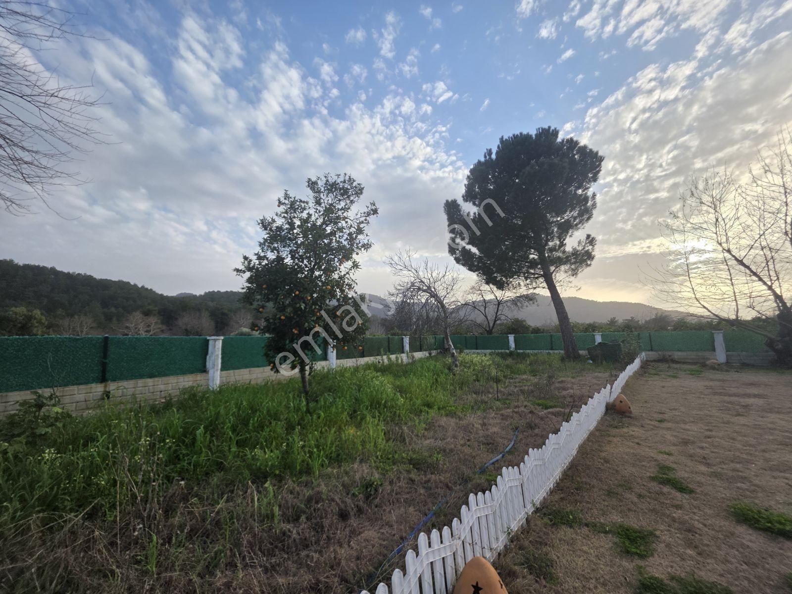 Yetkili Ofis-beyobası-1650 M2 Bahçe İçinde Müstakil Yeni Villa - Görsel 10