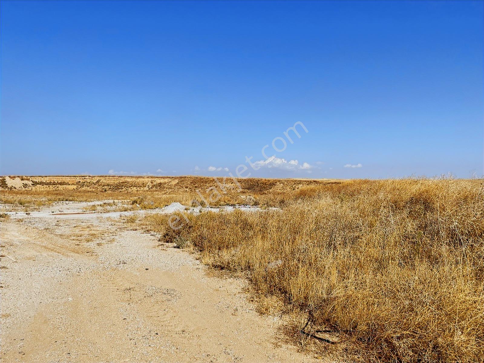 Kadınhanı Köylütolun'da Yola Cephe 800 M Var - Görsel 8