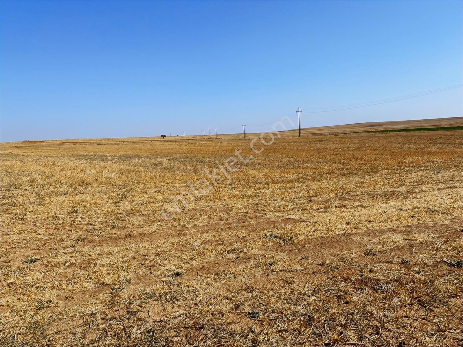 Kadınhanı Köylütolun'da Yola Cephe 800 M Var - Görsel 4
