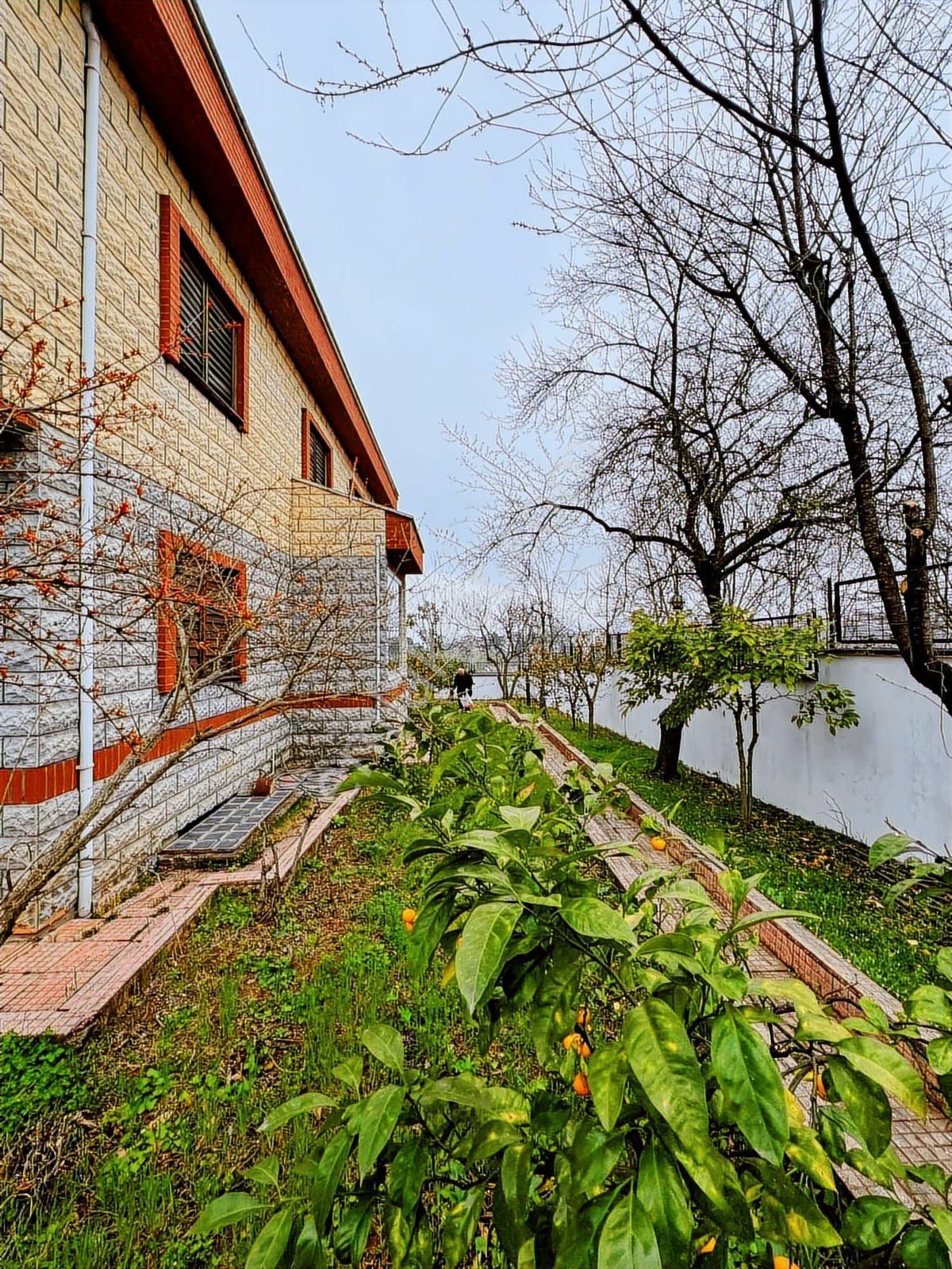 Trabzon Çukurçayırda 6+1 3 Katlı Bahçeli Doğa İçerisinde - Görsel 24