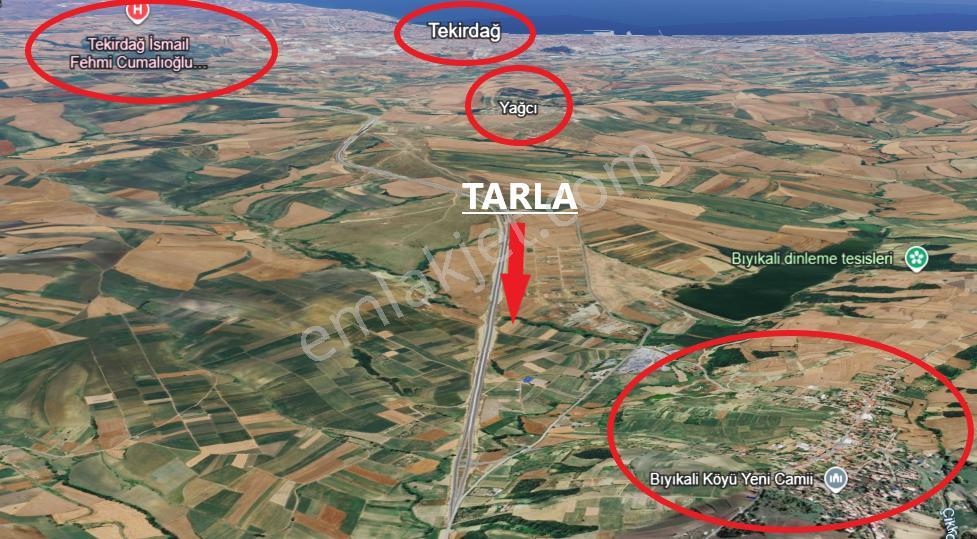 Gülsultan Emlak ' Tan Tekirdağ S.paşa Bıyıkali Mah.otoyola Cephe Satılık 7 Dönüm Tarla