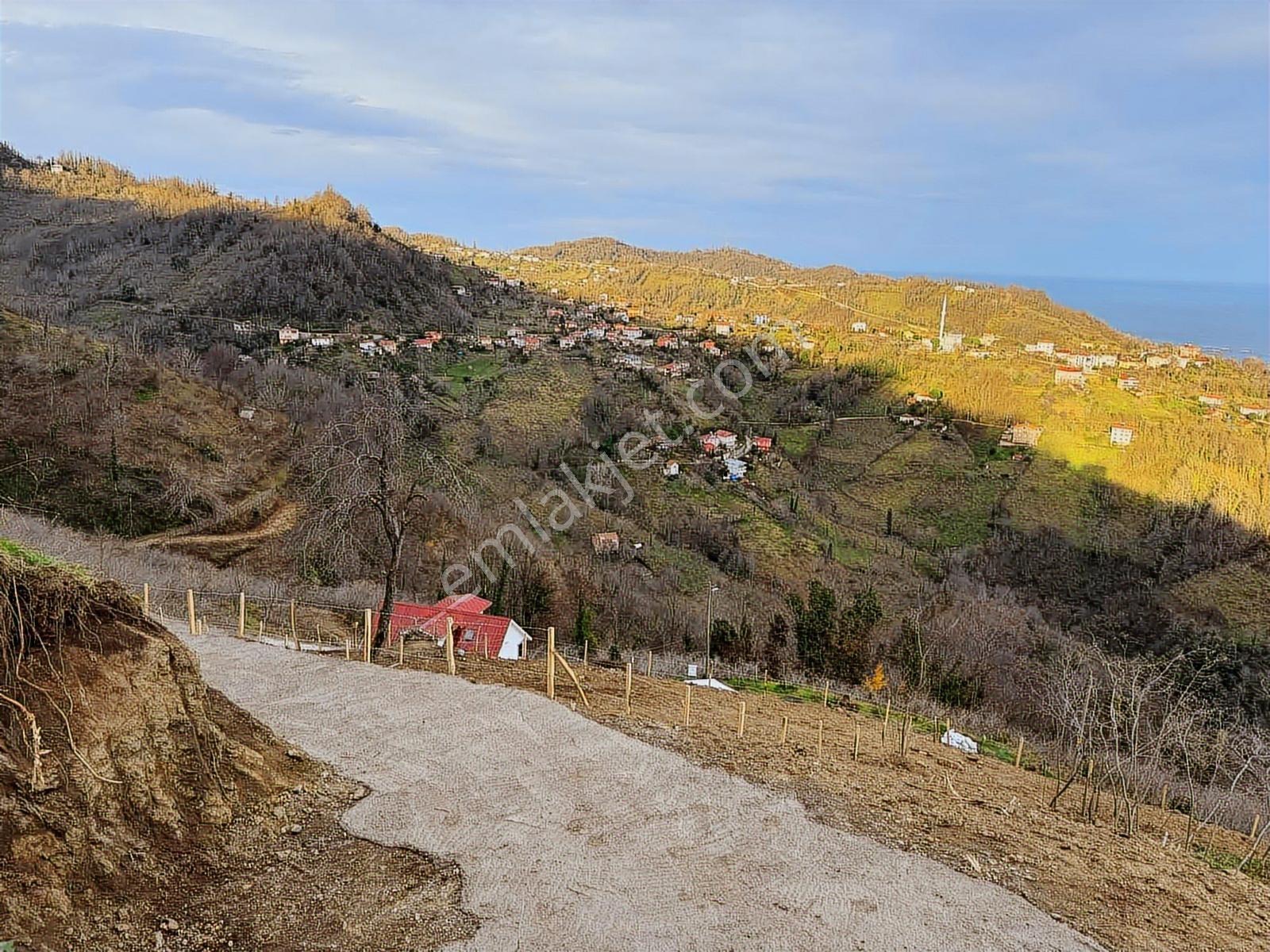 Bahadır'dan Perşembe Tarlacık Mh. Villa İmarlı Manzaralı Arsa - Görsel 6